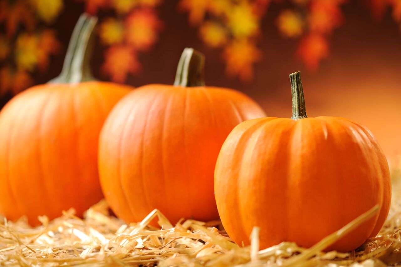 Decorate your yard too with pumpkins, corn stalks, straw bales, scarecrows, and a fall flag to blow in the breeze.