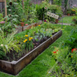 Raised Bed with Herbs and Veggies