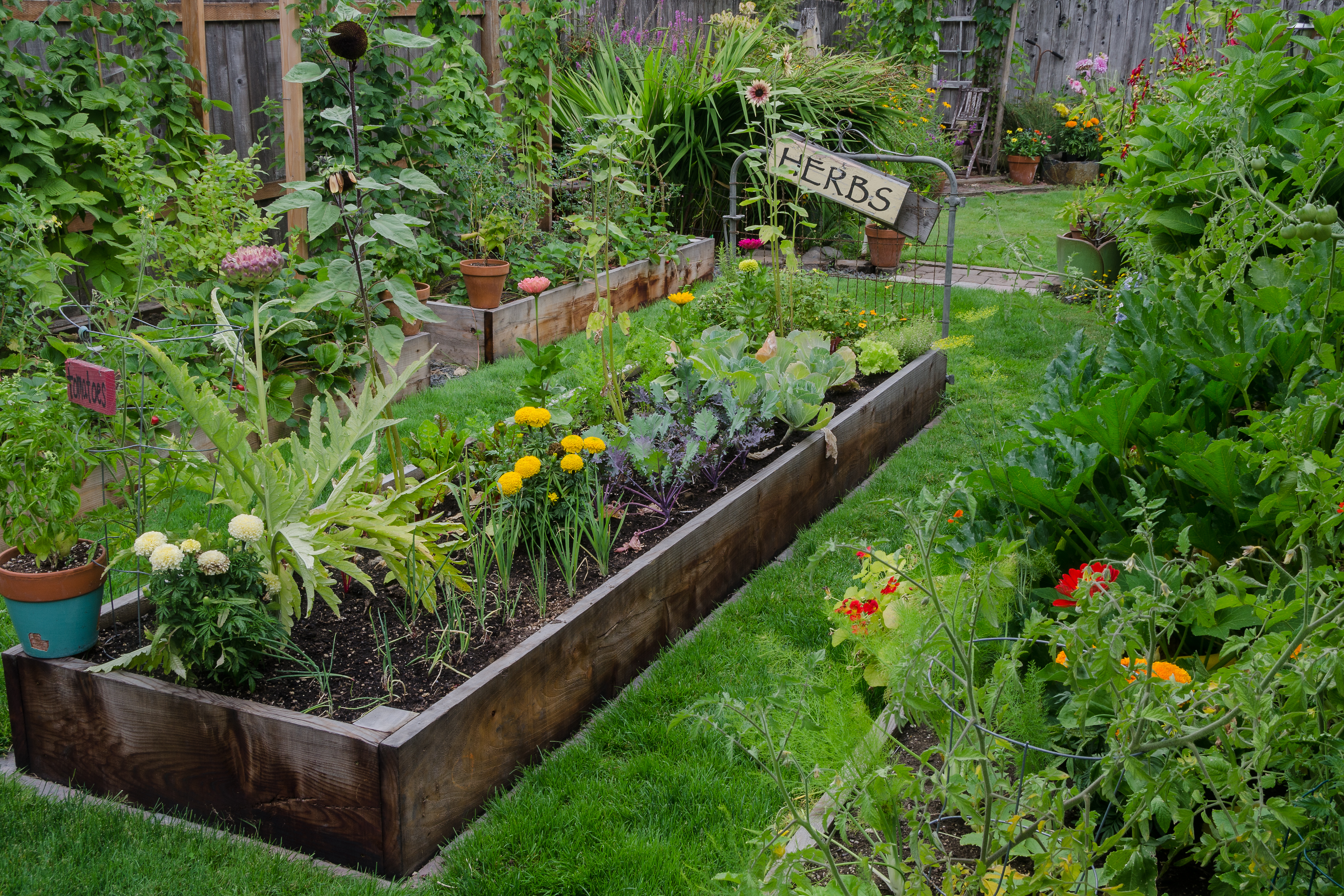 Raised Bed with Herbs and Veggies