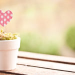 Pink Paper Heart in Planter