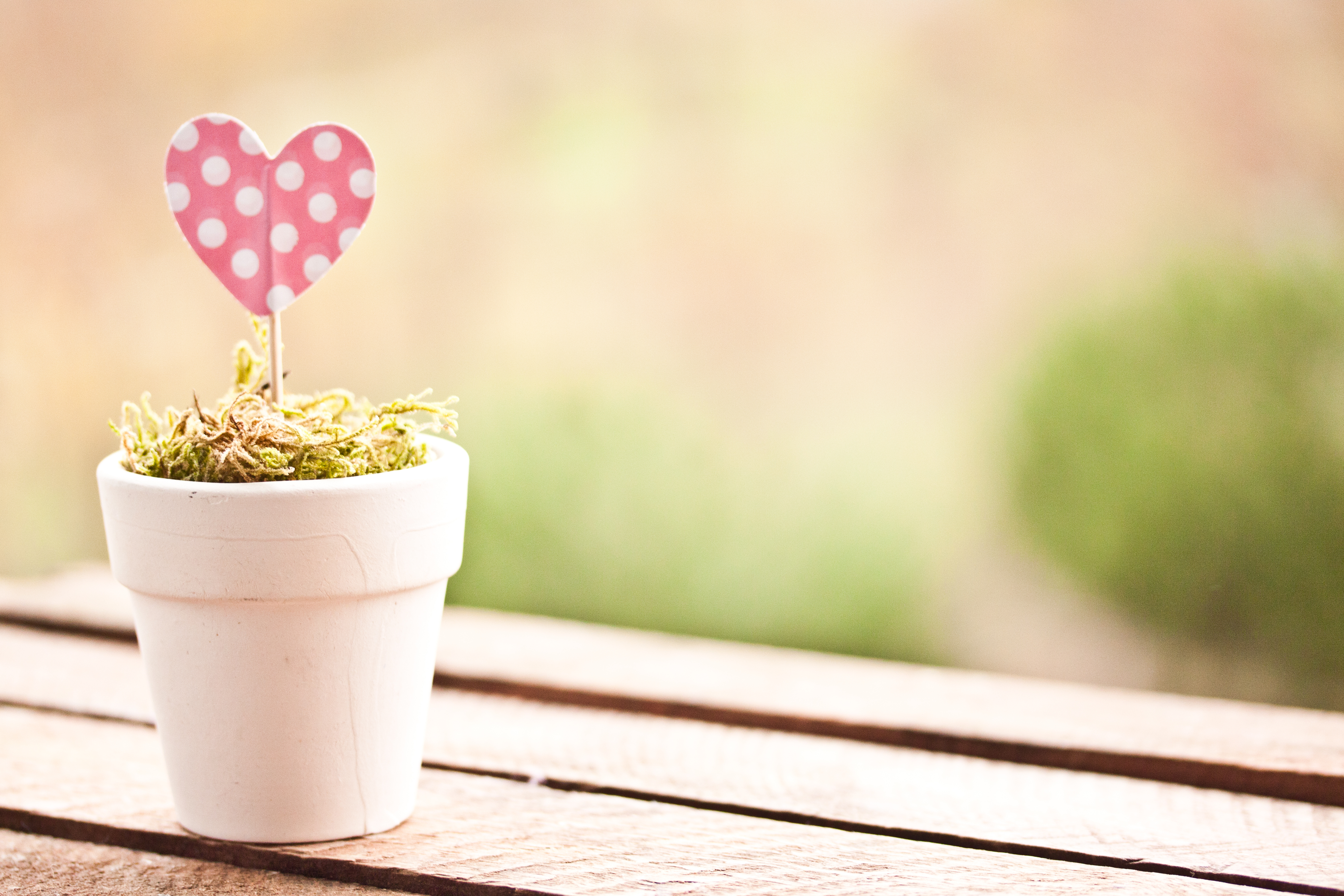 Pink Paper Heart in Planter