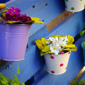 Color tins filled with flowers hanging on a blue pallet.