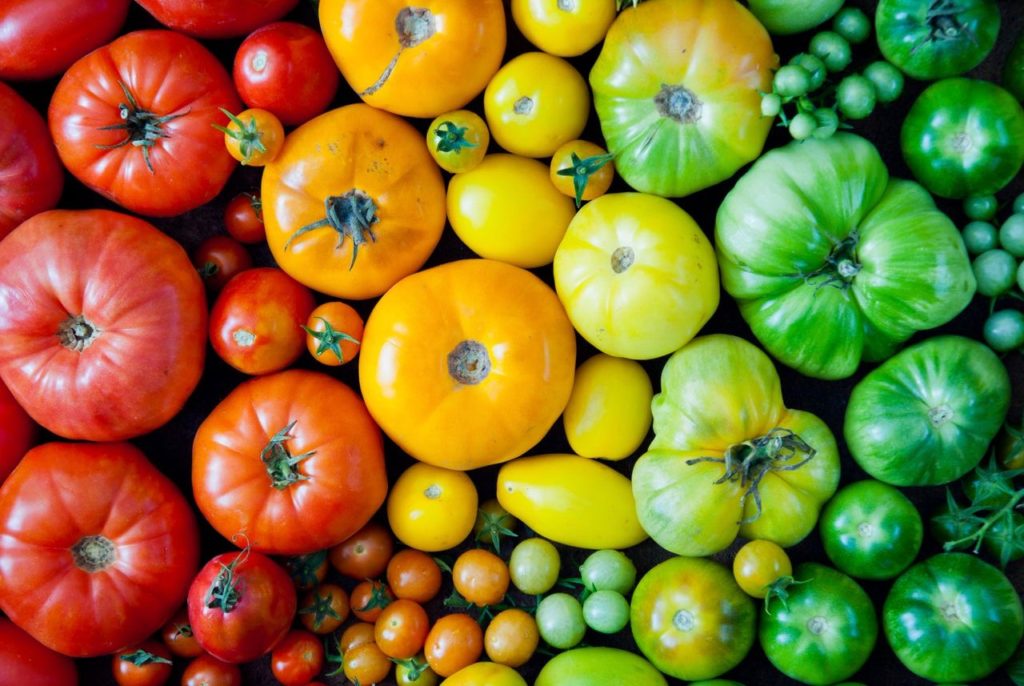 Edible Plants in MN Edible Plants for Sale Near Me Wagners