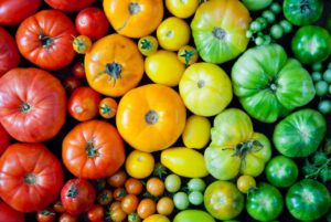 Tomatoes are a great edible plant to grow in your garden.