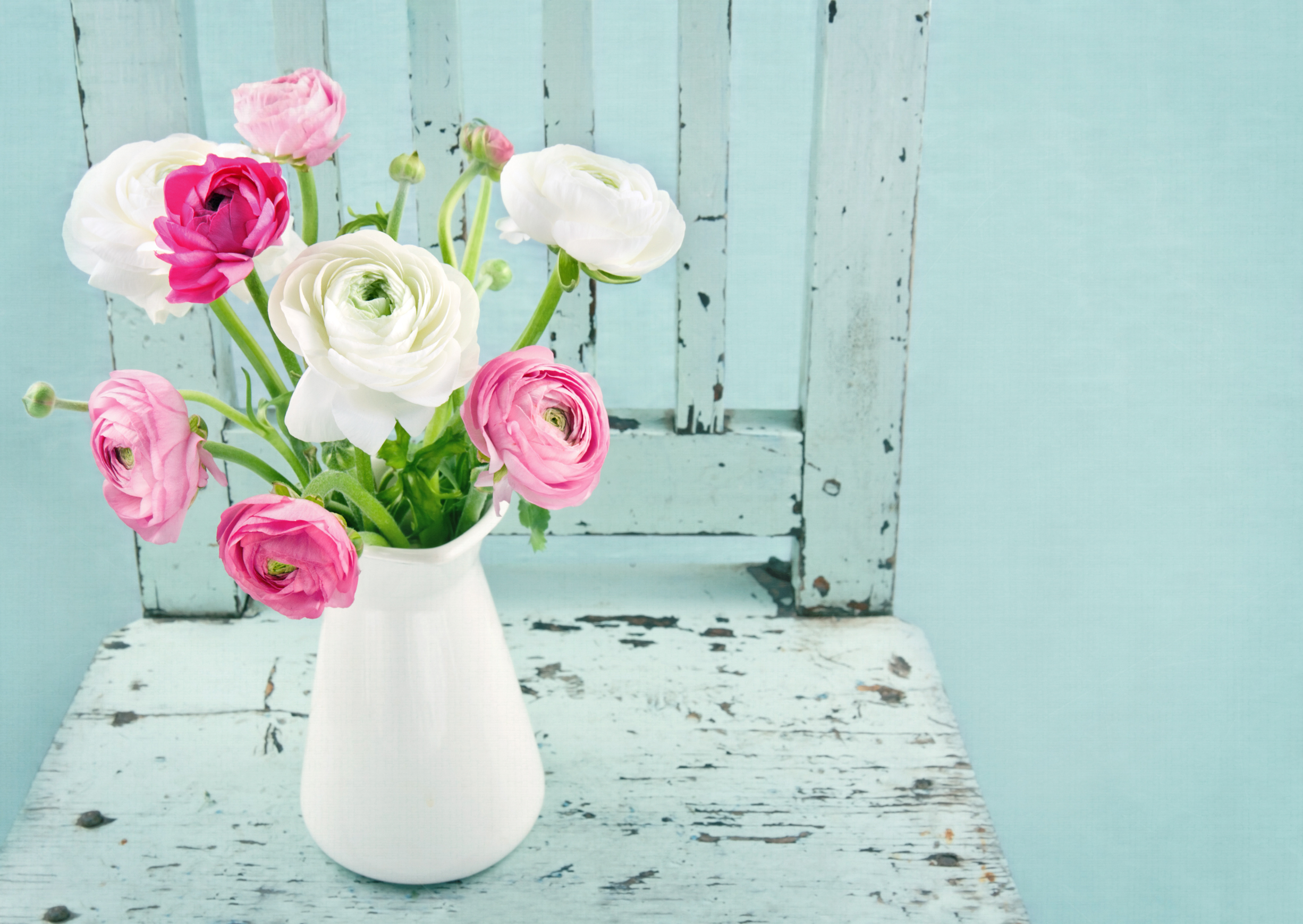 White and pink flowers in a white vase.