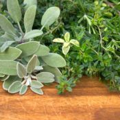 Grow fresh herbs in your garden and enjoy them in food and drinks.
