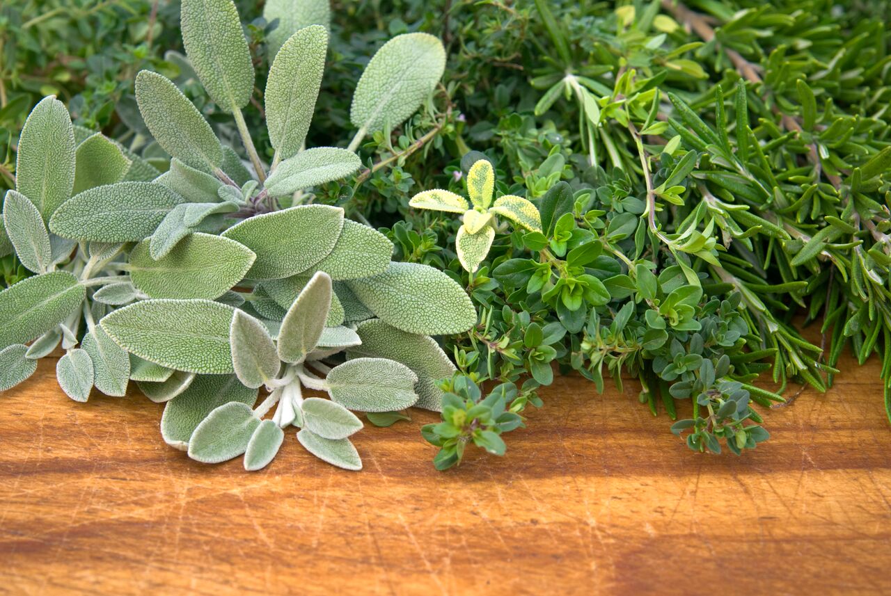 Grow fresh herbs in your garden and enjoy them in food and drinks.