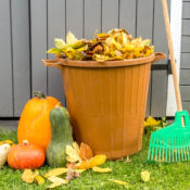 Fall Clean Up- Don't Put it off this Year