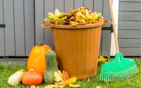 Fall Clean Up- Don't Put it off this Year