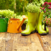 Garden Pots and Boots