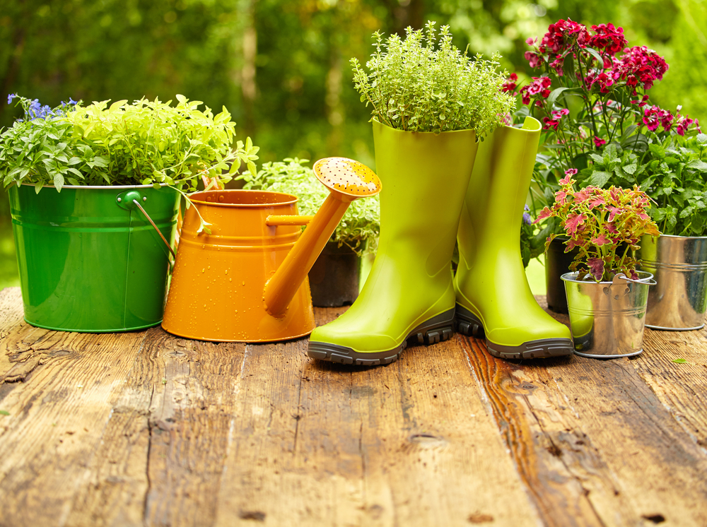 Garden Pots and Boots