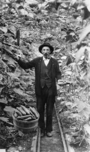 August Cornelius in garden with cucumbers.