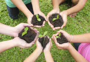 Community Gardening