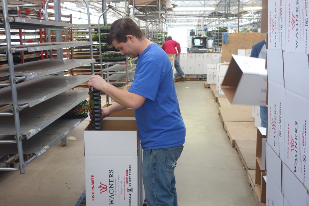 Employment Opportunities MN Wagners Greenhouses