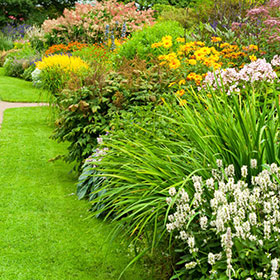 Outdoor plants.