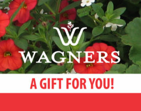 Wagners gift card.