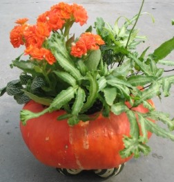 Gourd display.