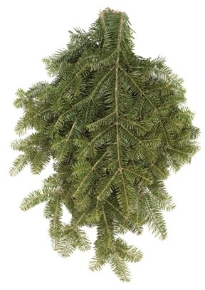 Spruce Tops, Evergreen Boughs, Wreaths & More | Wagners Greenhouses