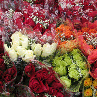 Bouquets of roses.