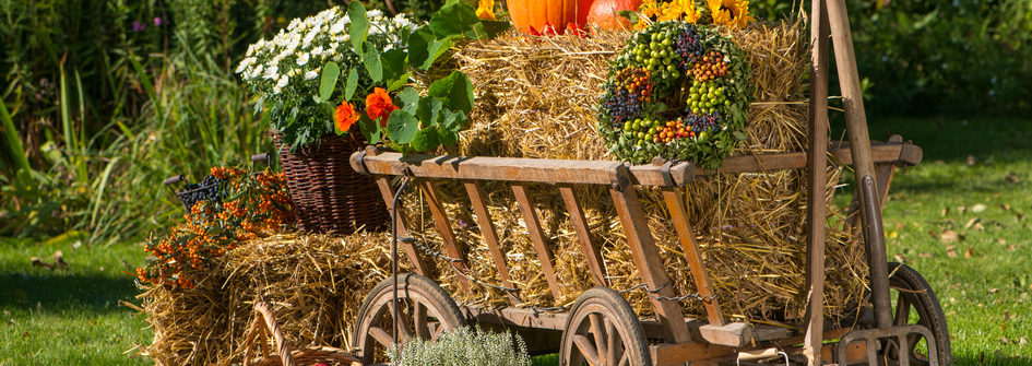 straw bales