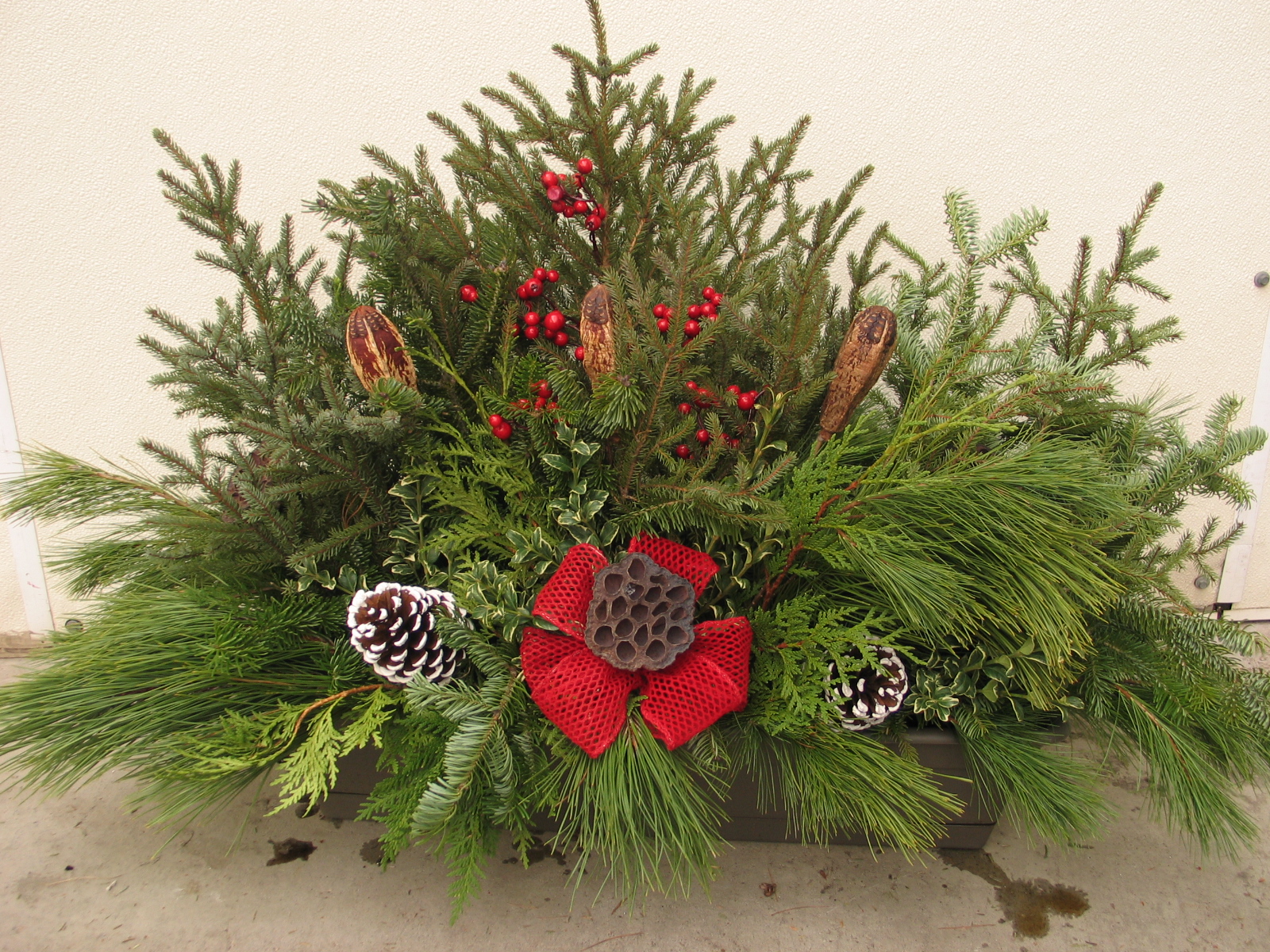 Garden Center Plants & Products MN Wagners Greenhouses