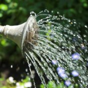 A watering can with water coming out.