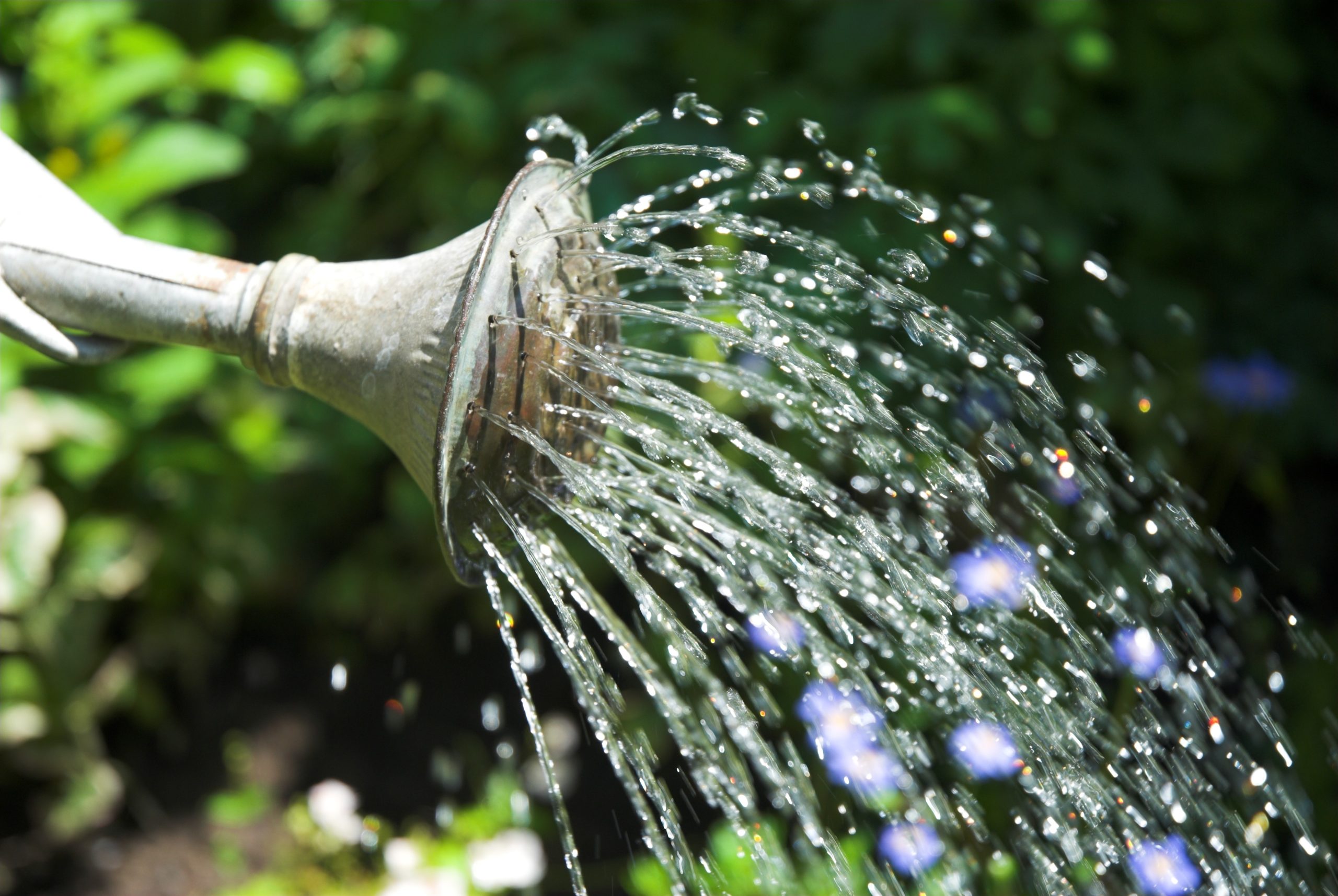 A watering can with water coming out.