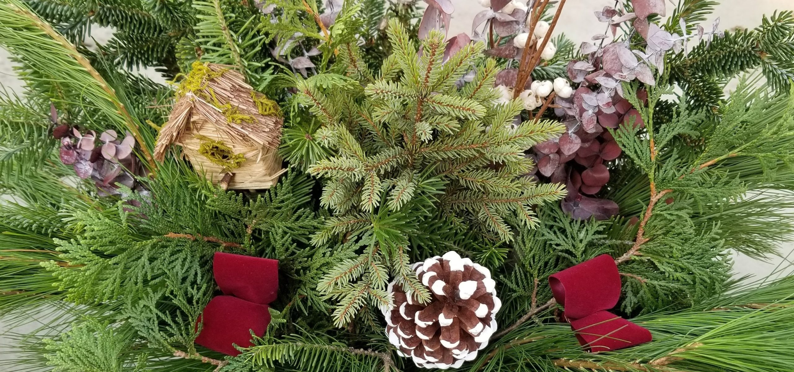 Garden Centers Minneapolis Wagners Greenhouse