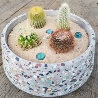 Succulents in a cement bowl.