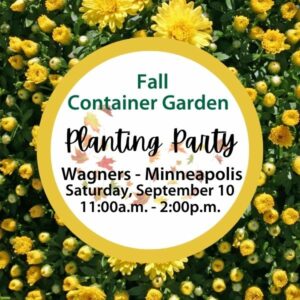 Fall container garden planting party.