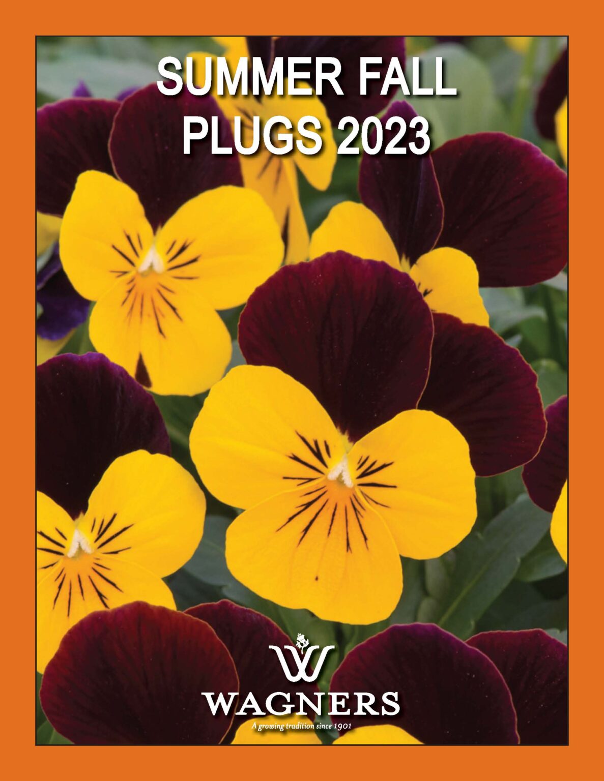 Flower Plugs Wholesale Plant Plugs Wagners Greenhouses